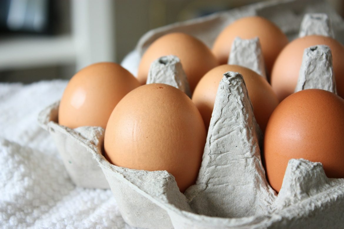 US’s Largest Egg Producer Shuts Down After Avian Flu Outbreak